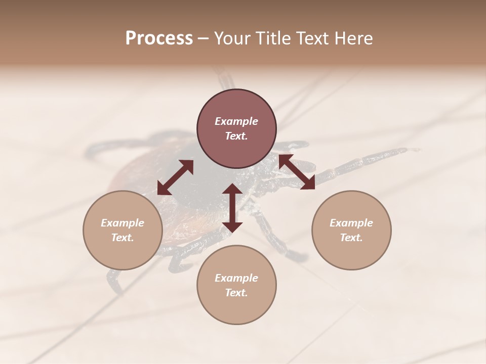 Equipment Remote Cooling PowerPoint Template