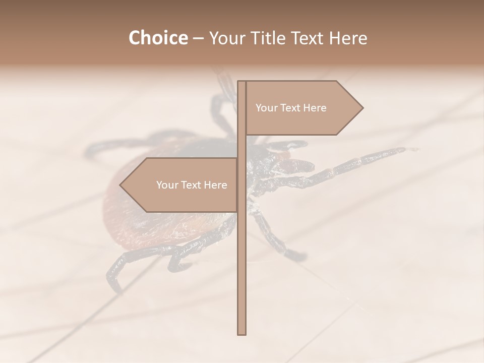 Equipment Remote Cooling PowerPoint Template