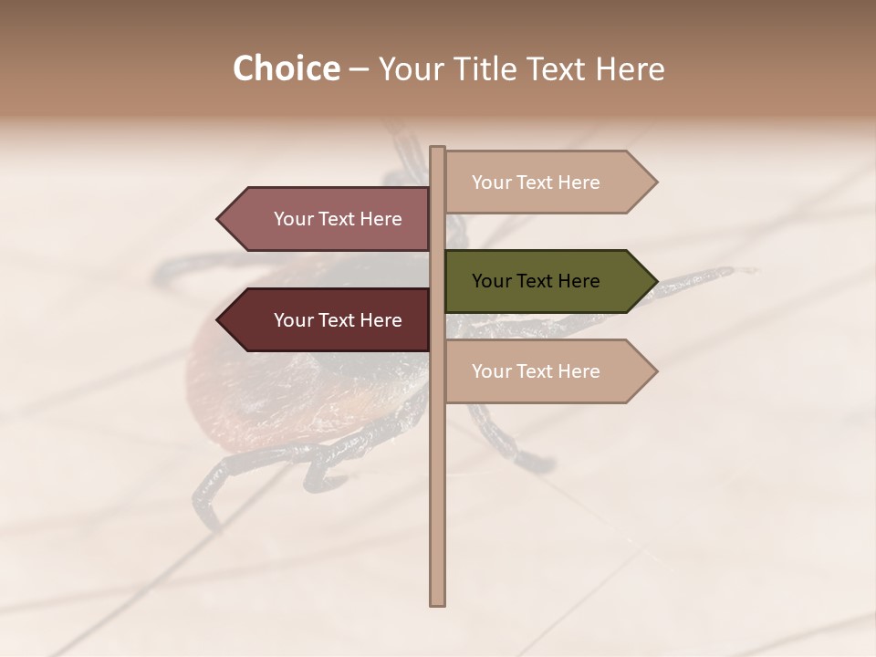 Equipment Remote Cooling PowerPoint Template