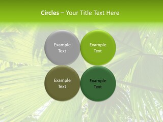 Cold Electricity Part PowerPoint Template