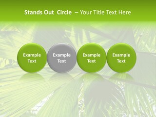 Cold Electricity Part PowerPoint Template