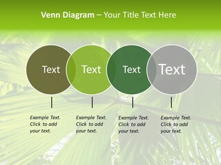 Cold Electricity Part PowerPoint Template