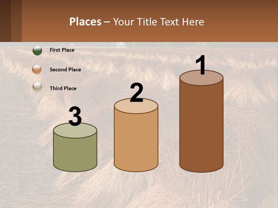 Temperature Unit Heat PowerPoint Template