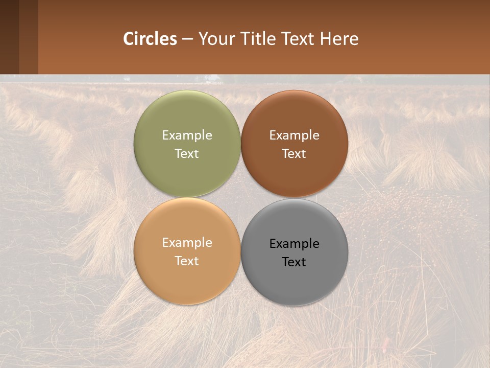 Temperature Unit Heat PowerPoint Template