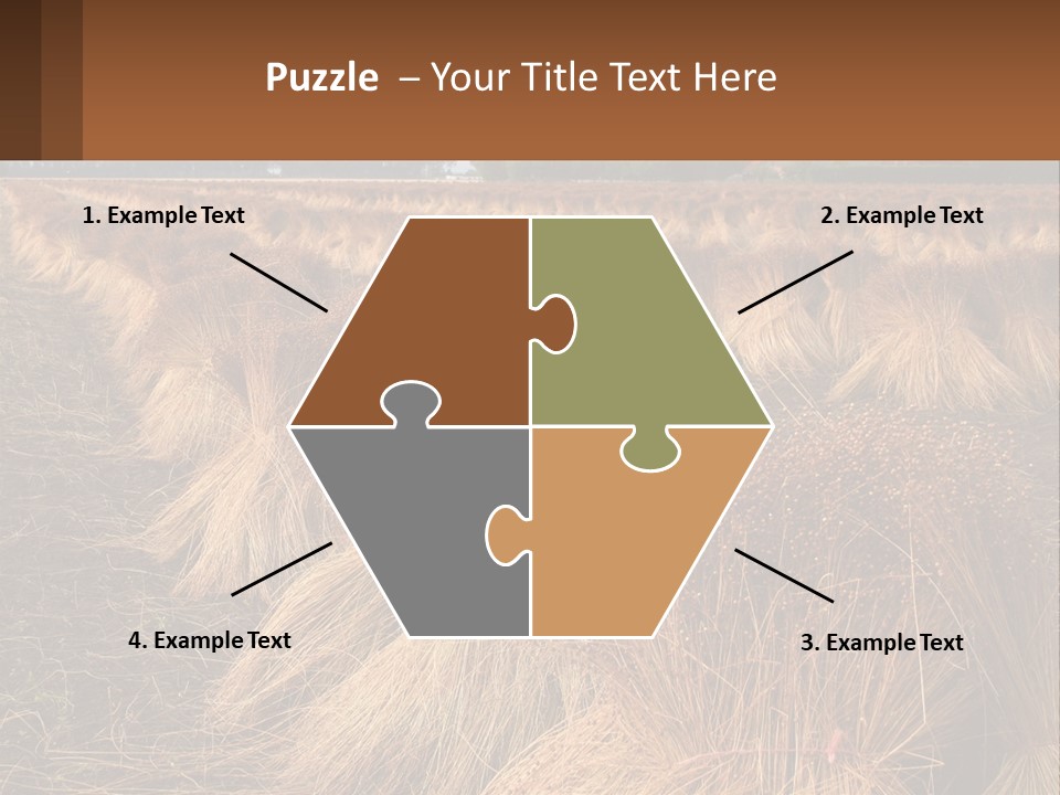 Temperature Unit Heat PowerPoint Template