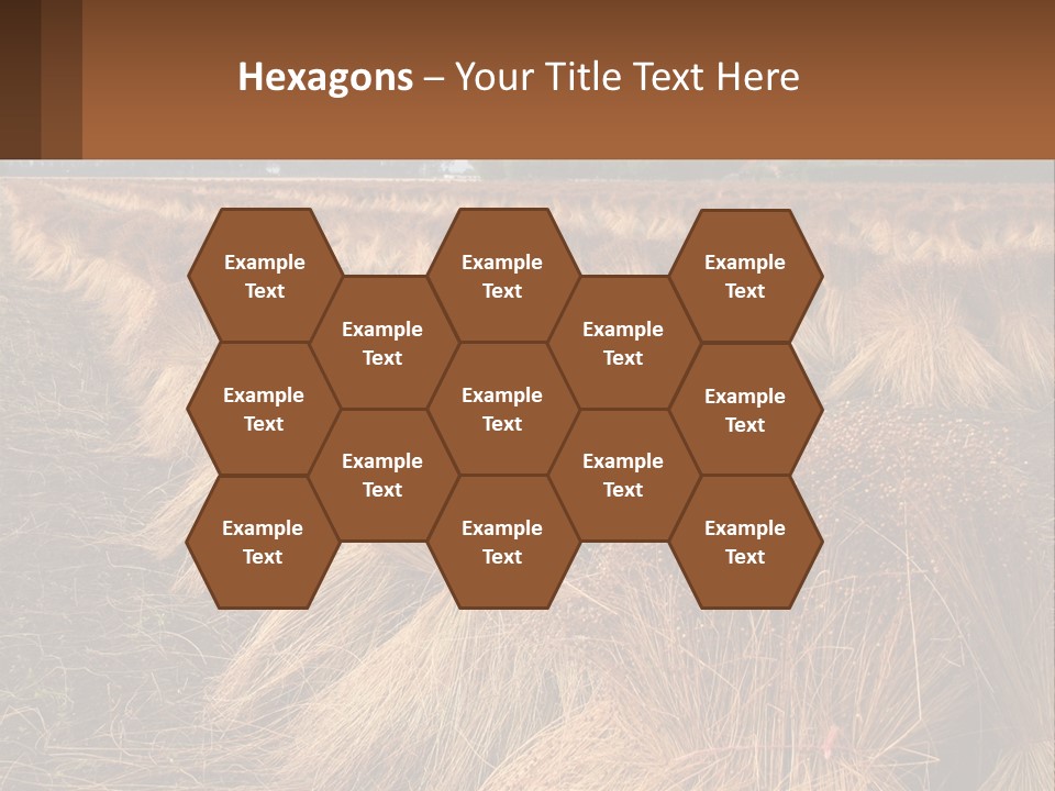 Temperature Unit Heat PowerPoint Template