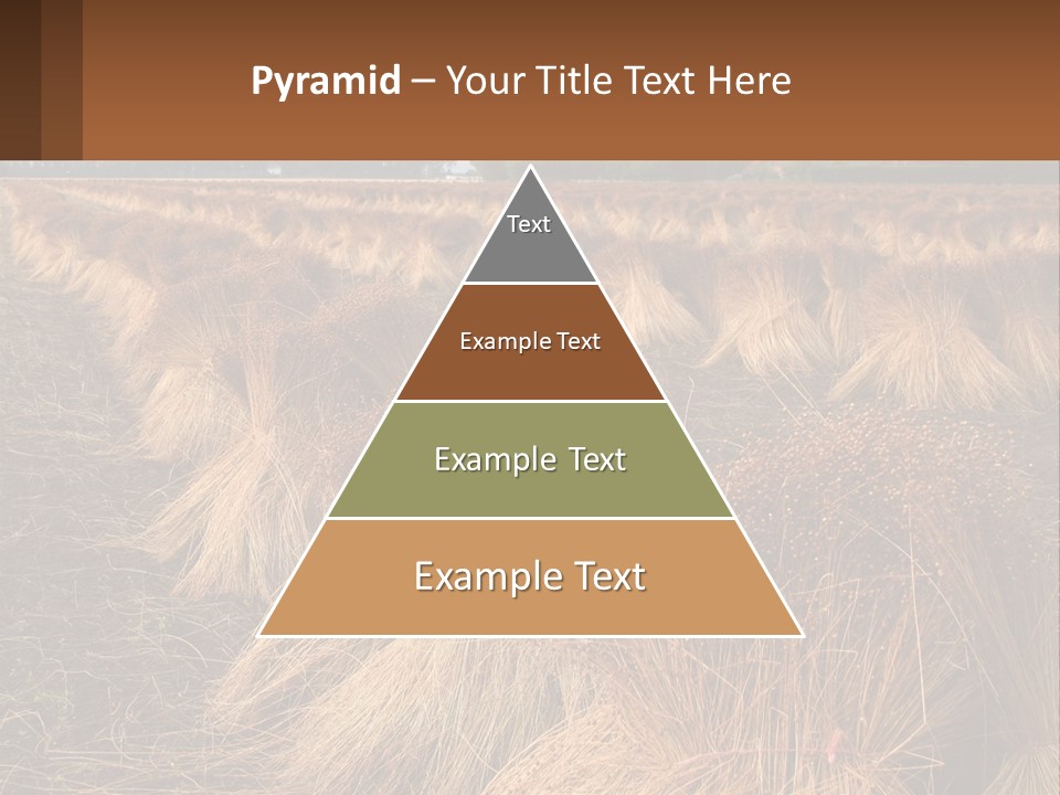 Temperature Unit Heat PowerPoint Template
