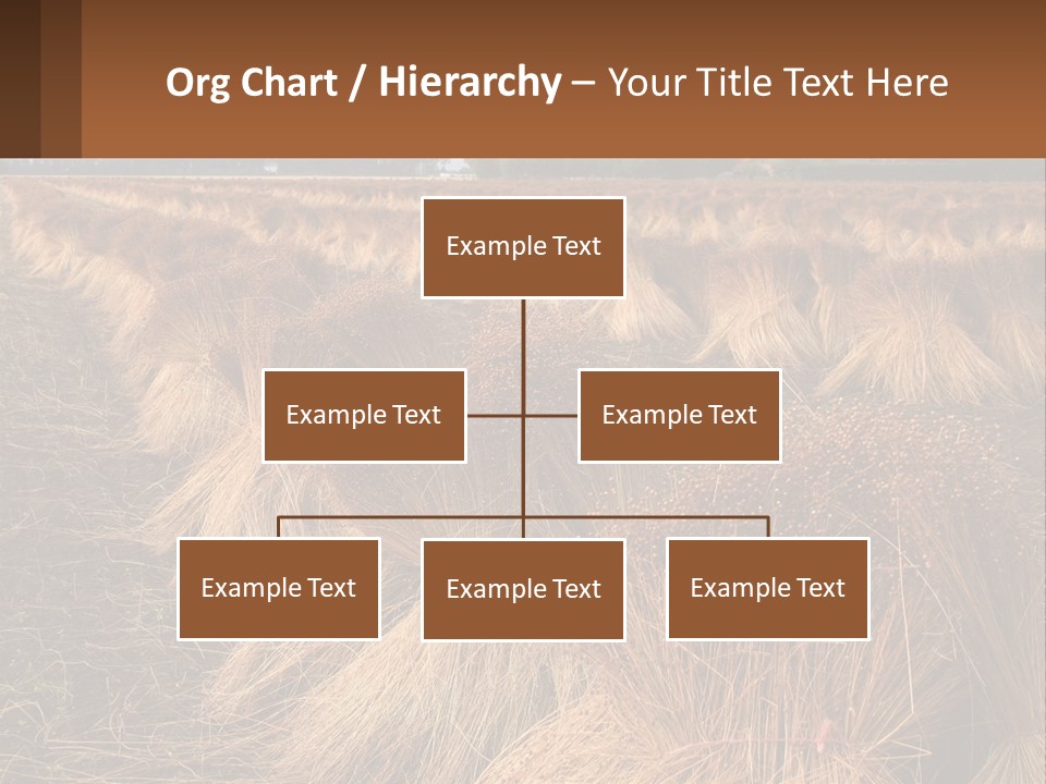 Temperature Unit Heat PowerPoint Template