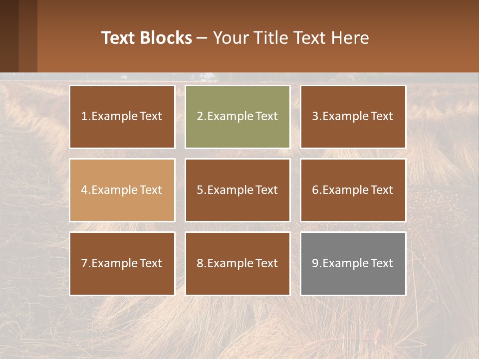 Temperature Unit Heat PowerPoint Template