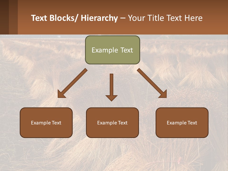 Temperature Unit Heat PowerPoint Template