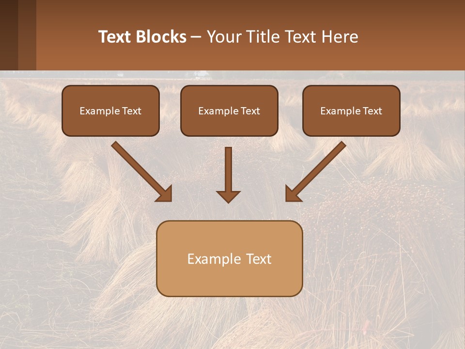 Temperature Unit Heat PowerPoint Template