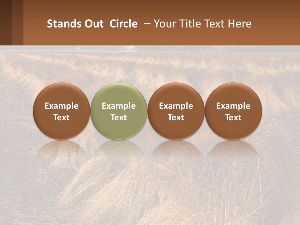 Temperature Unit Heat PowerPoint Template