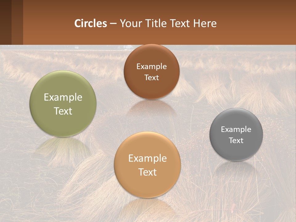 Temperature Unit Heat PowerPoint Template