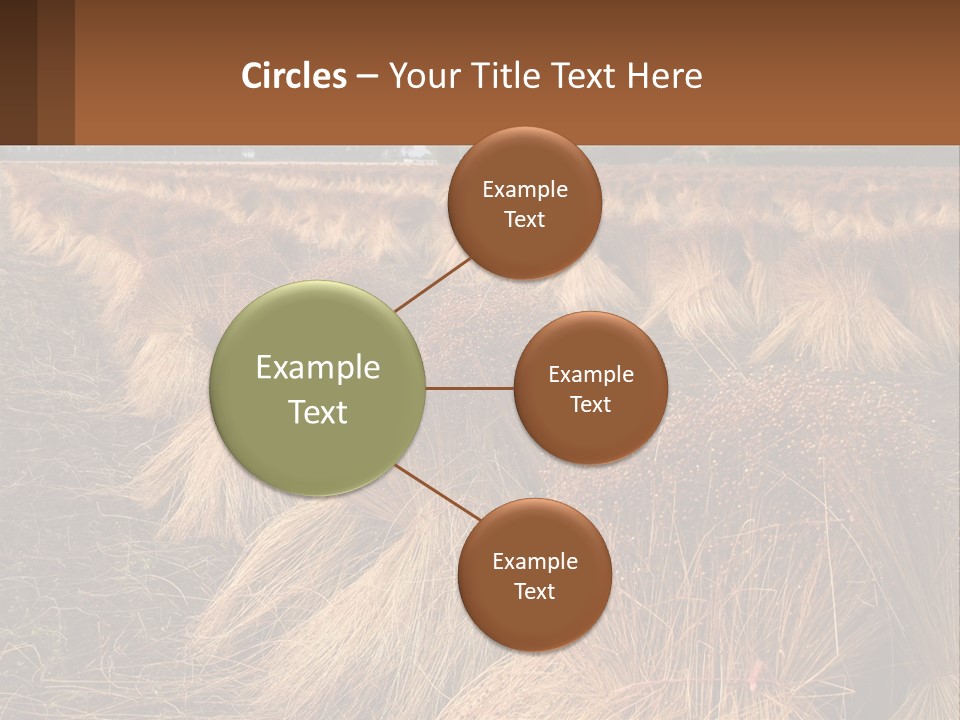 Temperature Unit Heat PowerPoint Template