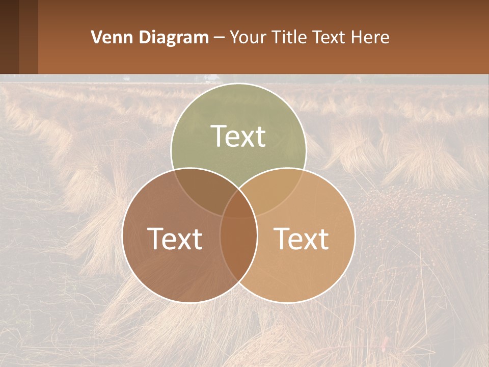 Temperature Unit Heat PowerPoint Template