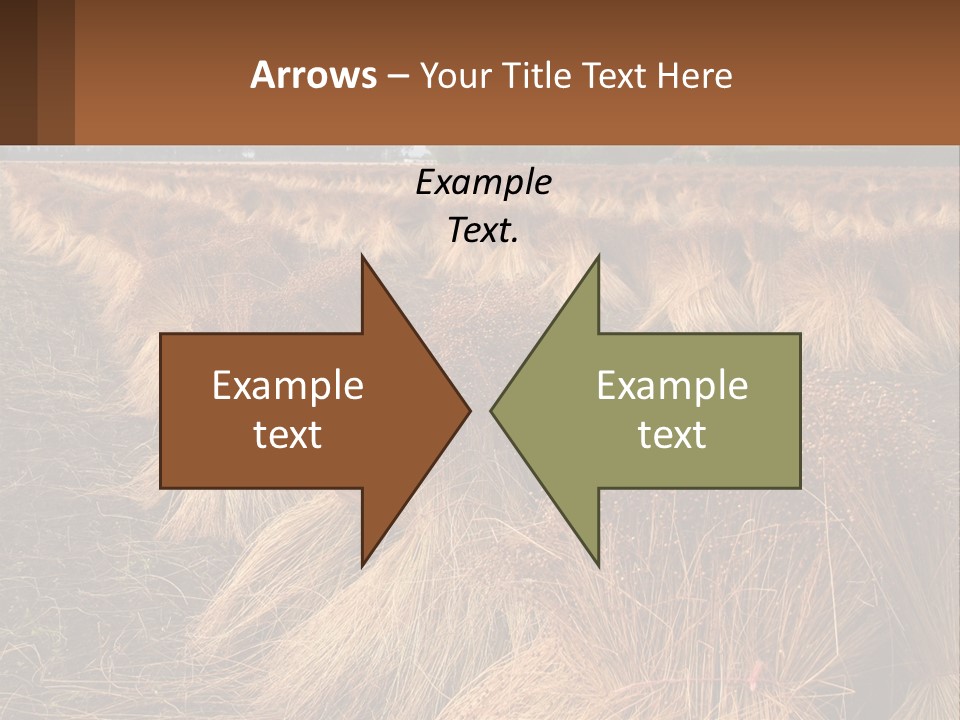Temperature Unit Heat PowerPoint Template