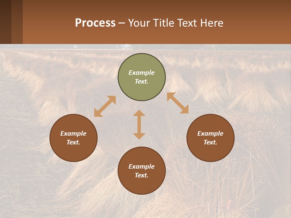 Temperature Unit Heat PowerPoint Template
