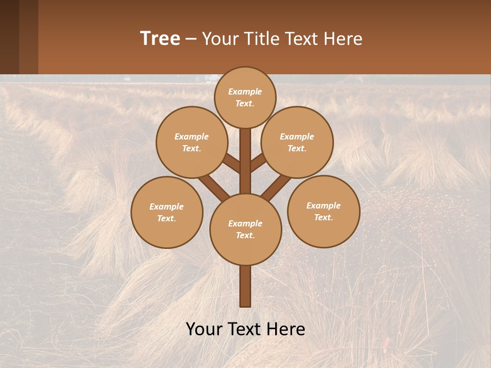 Temperature Unit Heat PowerPoint Template