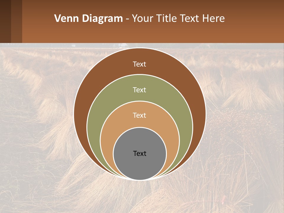 Temperature Unit Heat PowerPoint Template