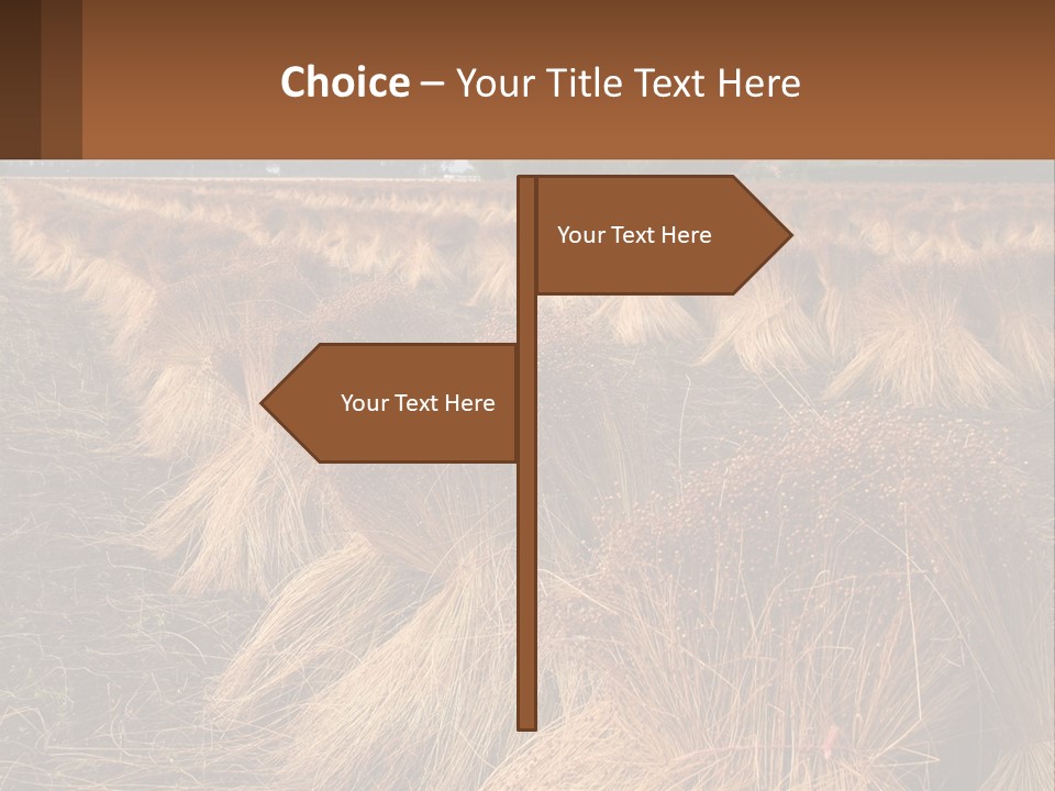 Temperature Unit Heat PowerPoint Template