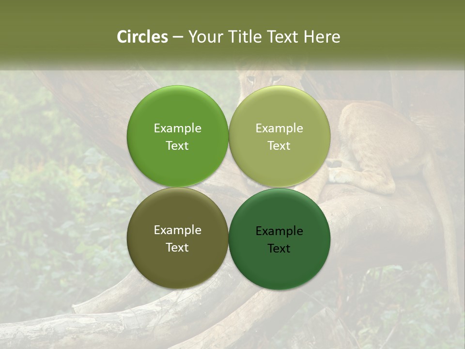 Equipment Cool Remote PowerPoint Template
