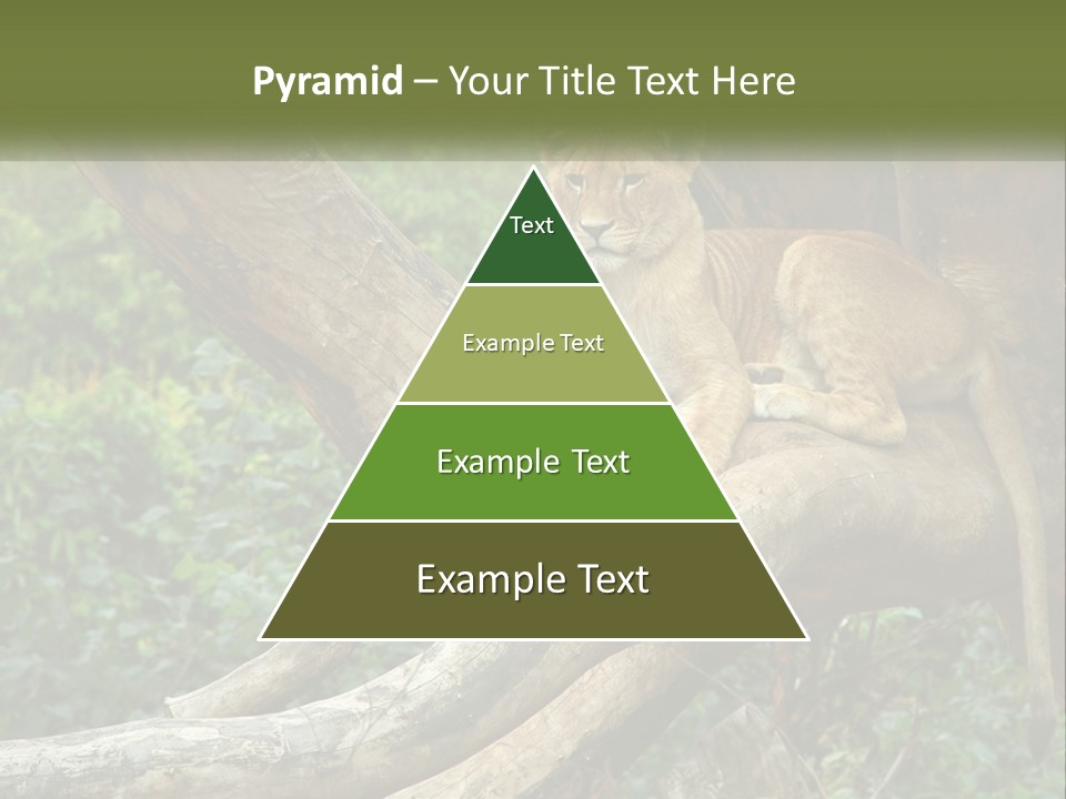 Equipment Cool Remote PowerPoint Template