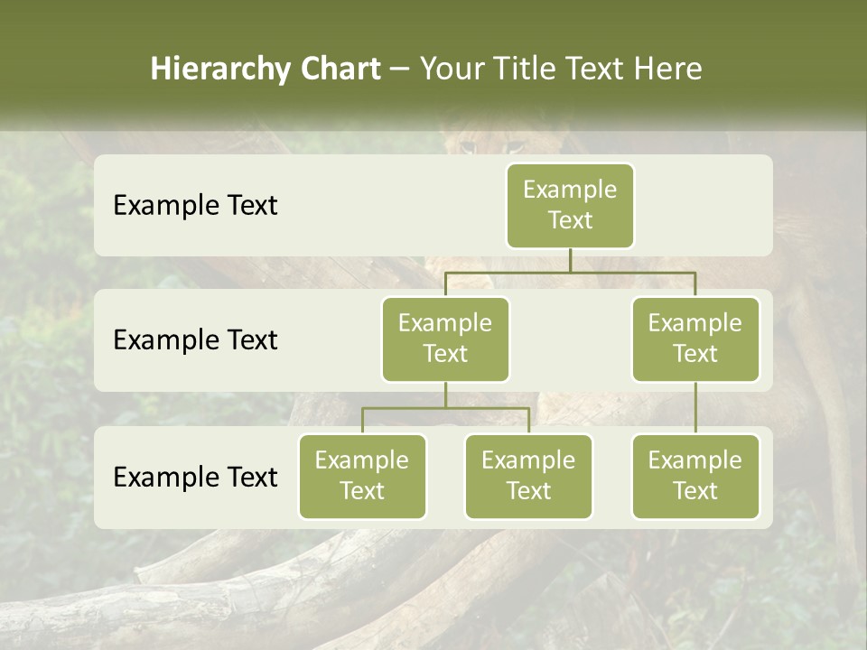 Equipment Cool Remote PowerPoint Template