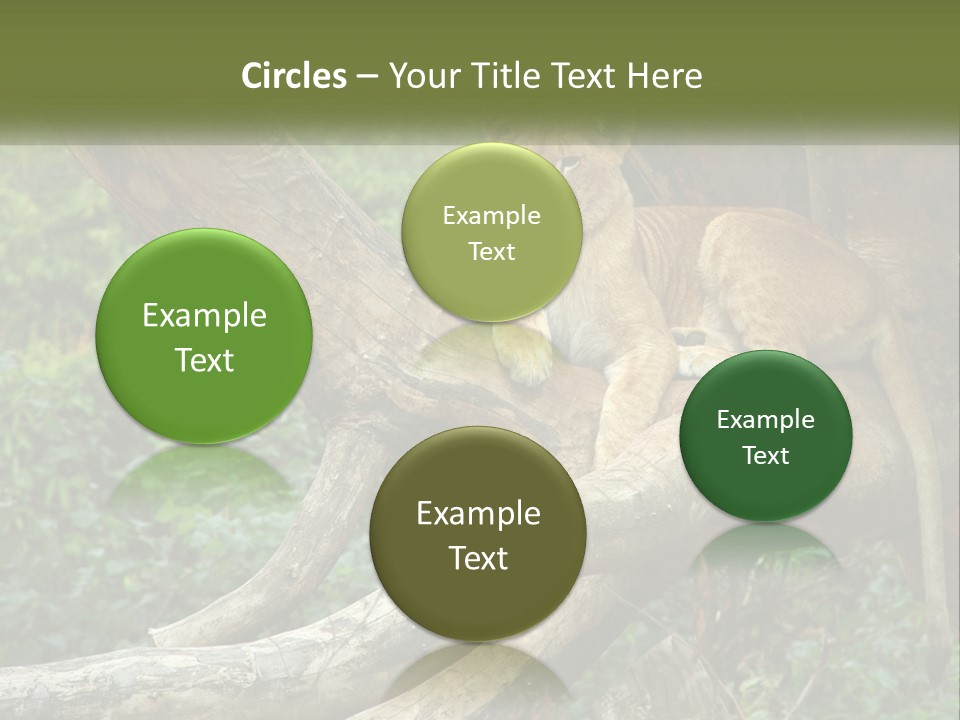Equipment Cool Remote PowerPoint Template