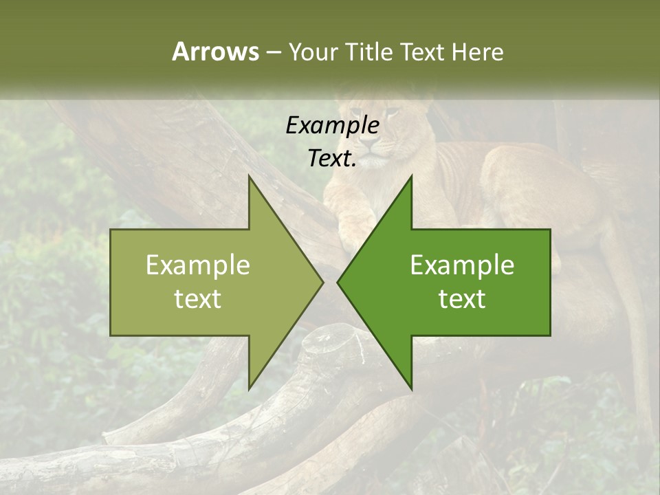 Equipment Cool Remote PowerPoint Template