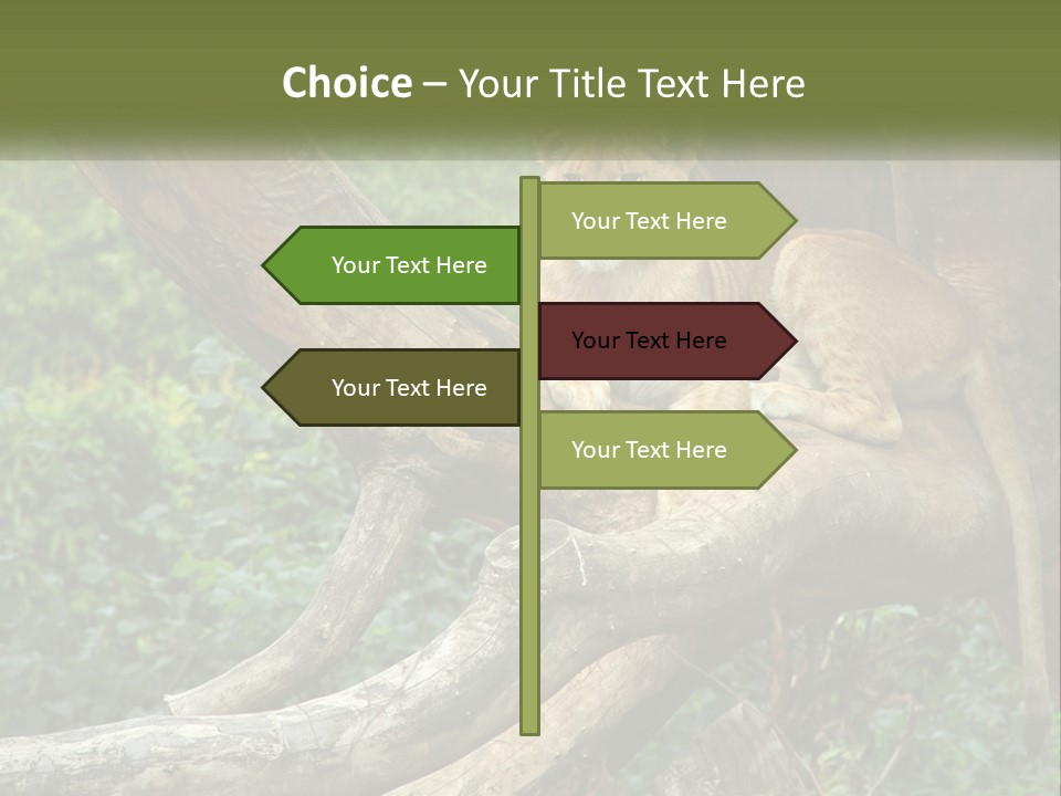 Equipment Cool Remote PowerPoint Template