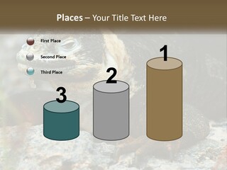 Switch Cool System PowerPoint Template