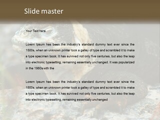 Switch Cool System PowerPoint Template