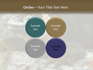 Switch Cool System PowerPoint Template