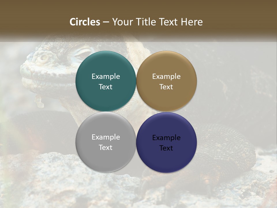 Switch Cool System PowerPoint Template