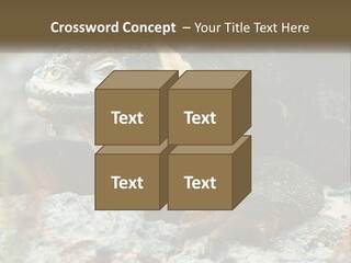 Switch Cool System PowerPoint Template