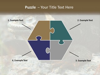 Switch Cool System PowerPoint Template