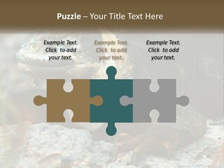 Switch Cool System PowerPoint Template
