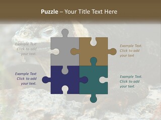 Switch Cool System PowerPoint Template