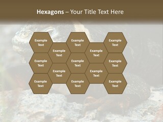 Switch Cool System PowerPoint Template