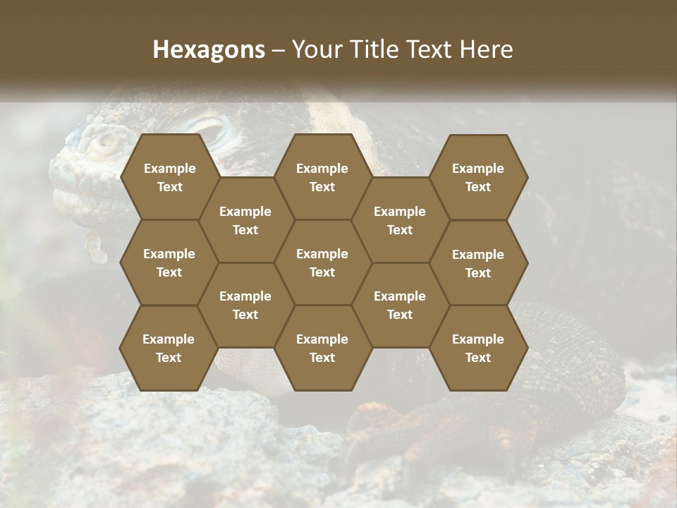 Switch Cool System PowerPoint Template