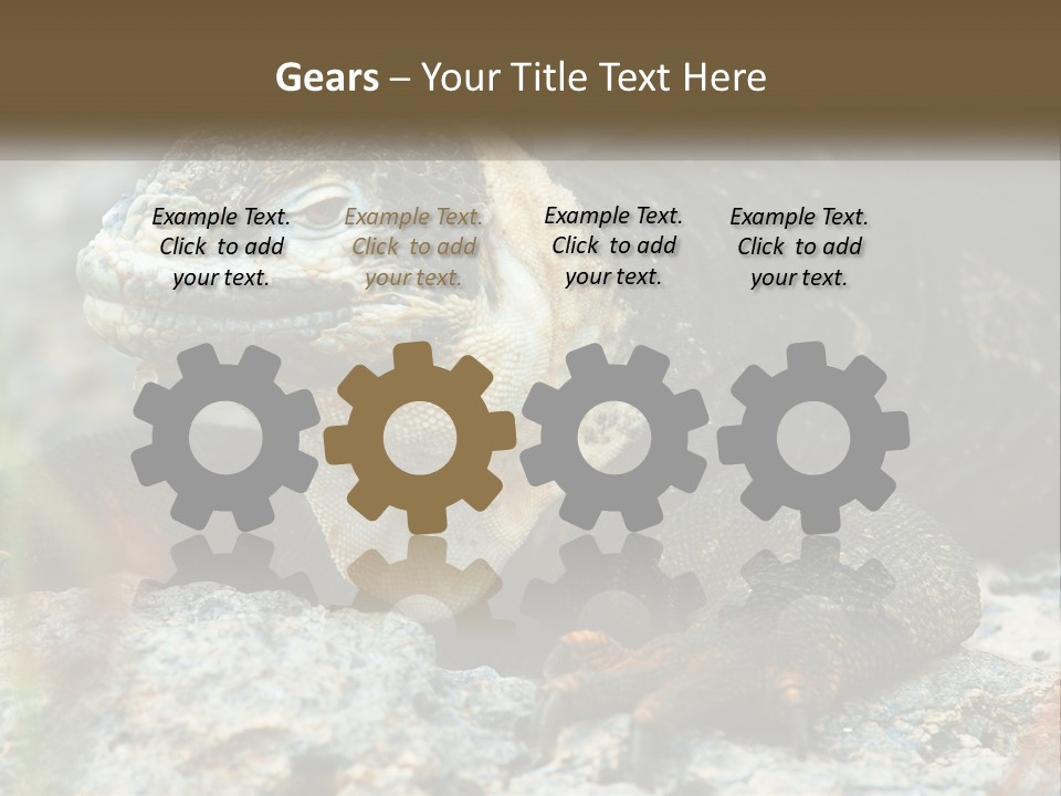 Switch Cool System PowerPoint Template