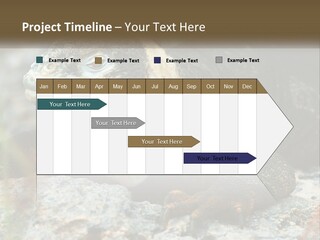 Switch Cool System PowerPoint Template