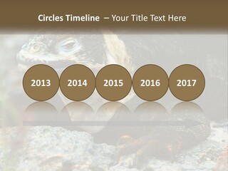 Switch Cool System PowerPoint Template