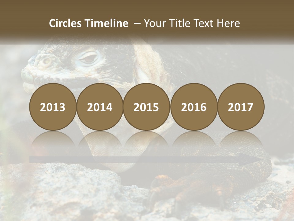 Switch Cool System PowerPoint Template
