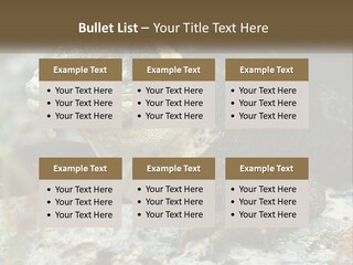 Switch Cool System PowerPoint Template