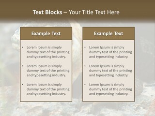 Switch Cool System PowerPoint Template