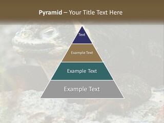 Switch Cool System PowerPoint Template