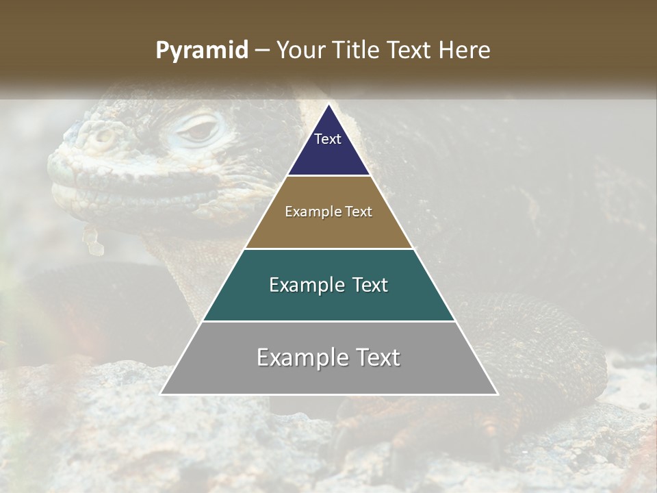 Switch Cool System PowerPoint Template