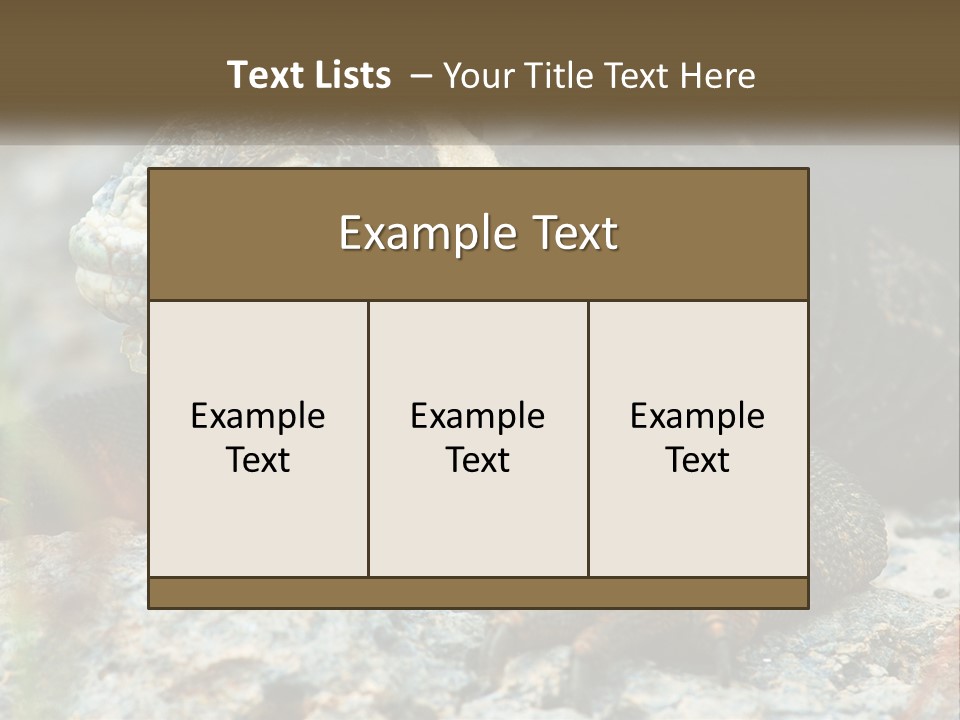 Switch Cool System PowerPoint Template
