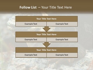 Switch Cool System PowerPoint Template